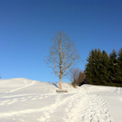 KOE_Almeinalpe 47_jpg-1326662053