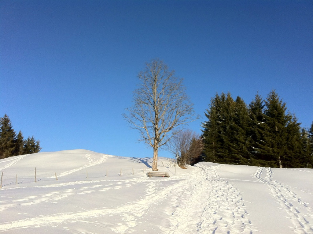 KOE_Almeinalpe 47_jpg-1326662053