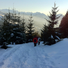 KOE_Almeinalpe 50_jpg-1326662072