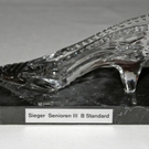 Schuh_jpg-1326662579