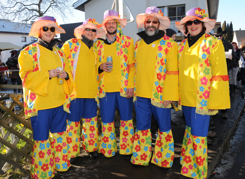 Fasching Fu__ach 15_01_2012 32_jpg-1326664646
