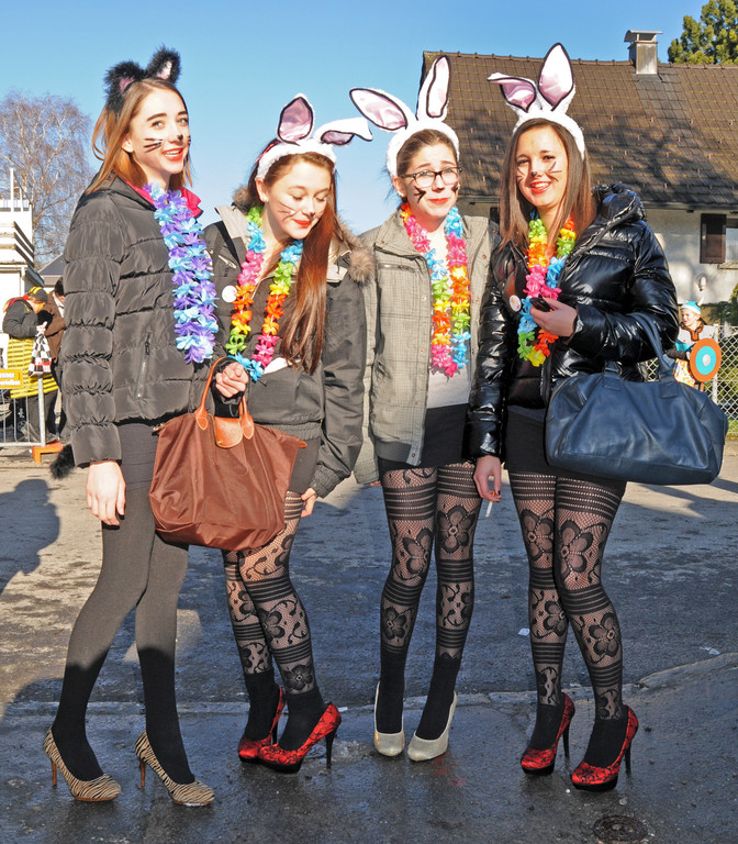 Fasching Fu__ach 15_01_2012 34_jpg-1326664660