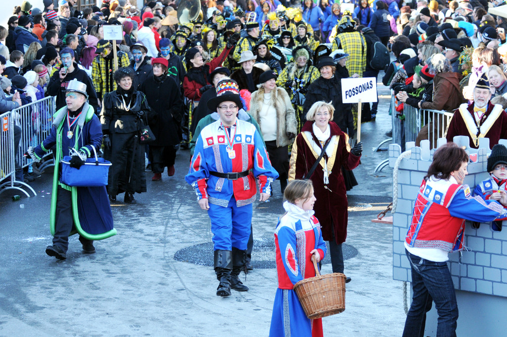 Fasching Fu__ach 15_01_2012 59_jpg-1326664743
