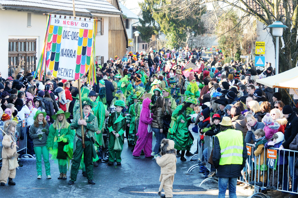 Fasching Fu__ach 15_01_2012 82_jpg-1326664843