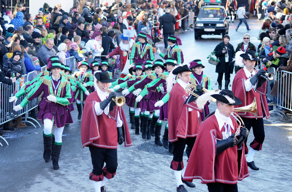 Fasching Fu__ach 15_01_2012 93_jpg-1326664864