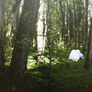 113_6024_jpg-1326667199