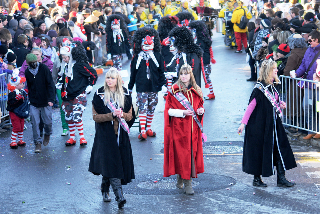 Fasching Fu__ach 15_01_2012 153_jpg-1326665638