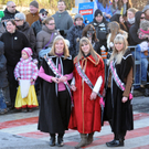 Fasching Fu__ach 15_01_2012 156_jpg-1326665653