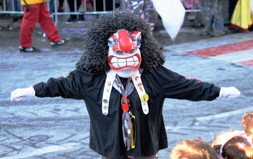 Fasching Fu__ach 15_01_2012 164_jpg-1326665688