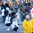 Fasching Fu__ach 15_01_2012 168_jpg-1326665707