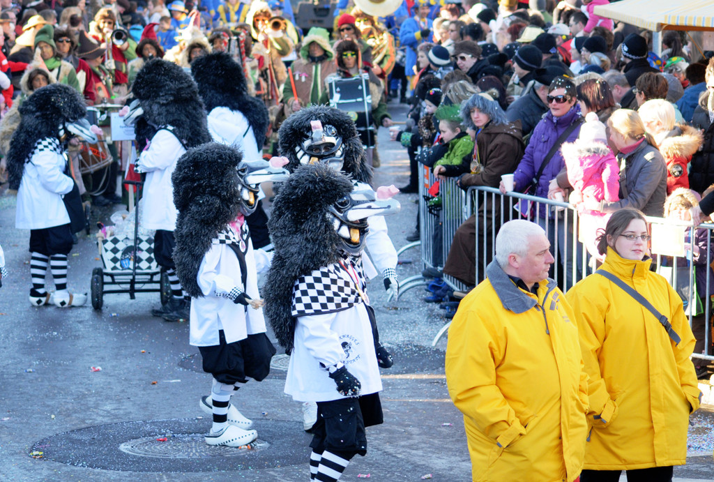 Fasching Fu__ach 15_01_2012 168_jpg-1326665707