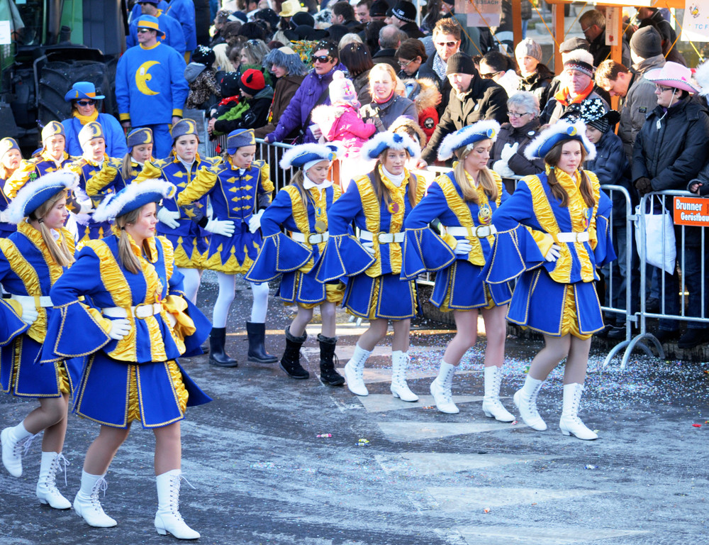 Fasching Fu__ach 15_01_2012 174_jpg-1326665748