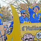 Fasching Fu__ach 15_01_2012 176_jpg-1326665766
