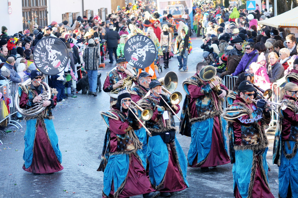 Fasching Fu__ach 15_01_2012 181_jpg-1326665804