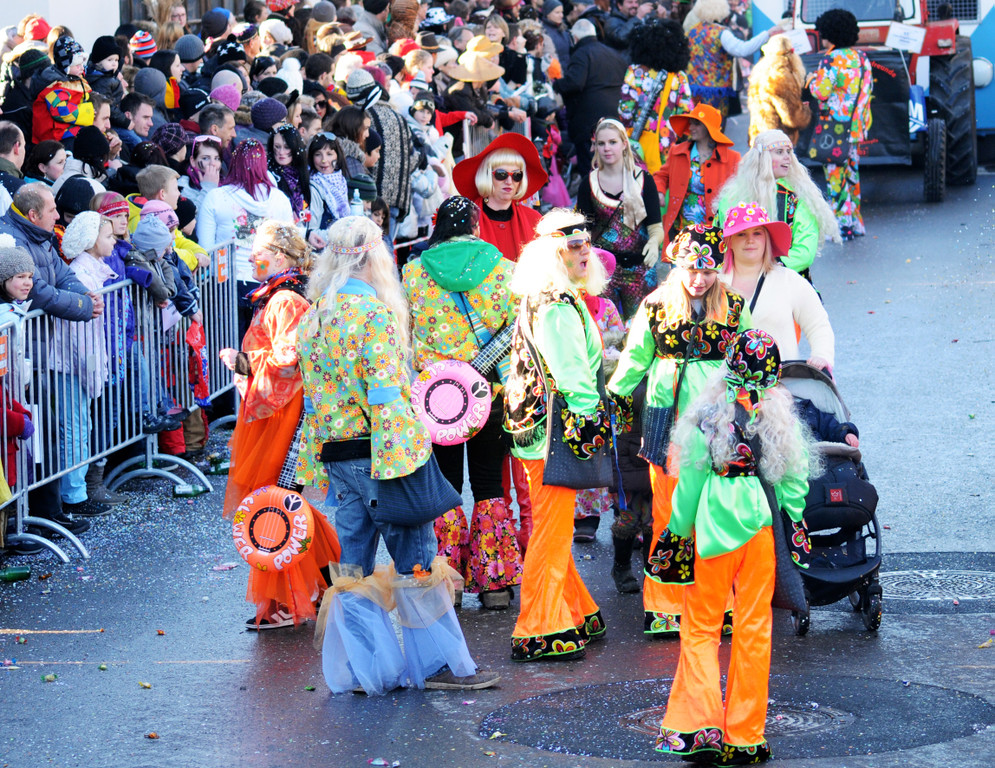 Fasching Fu__ach 15_01_2012 183_jpg-1326665826