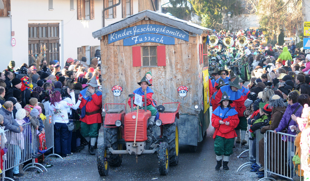Fasching Fu__ach 15_01_2012 187_jpg-1326665845