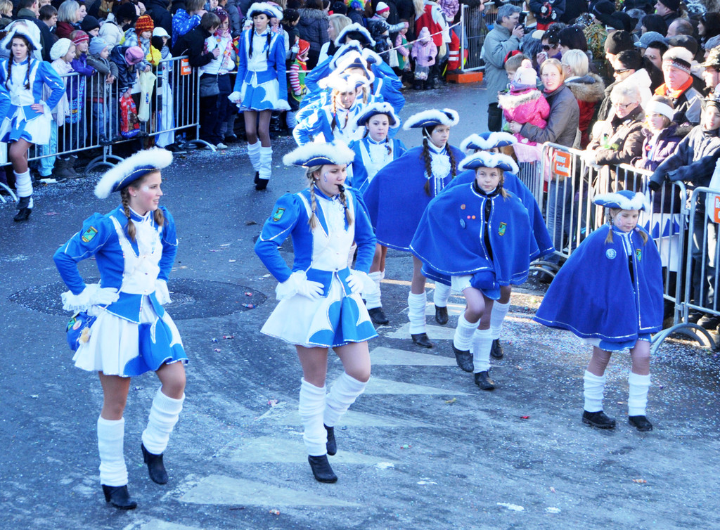 Fasching Fu__ach 15_01_2012 215_jpg-1326665950