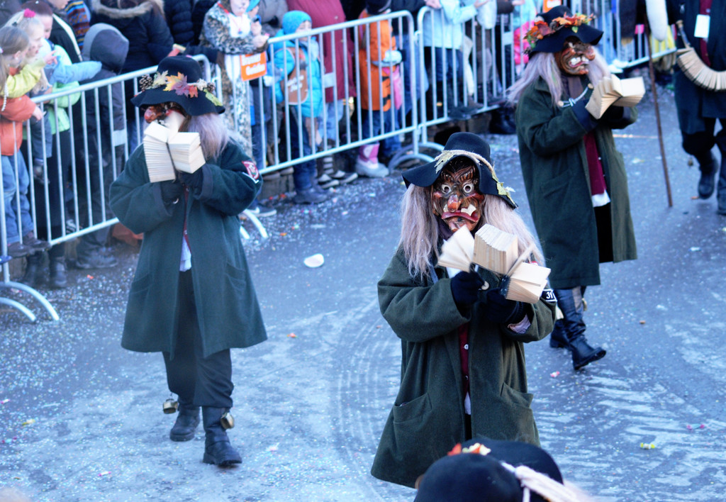 Fasching Fu__ach 15_01_2012 223_jpg-1326665966