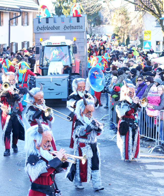 Fasching Fu__ach 15_01_2012 232_jpg-1326665998