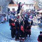 Fasching Fu__ach 15_01_2012 245_jpg-1326666021