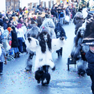 Fasching Fu__ach 15_01_2012 276_jpg-1326666164