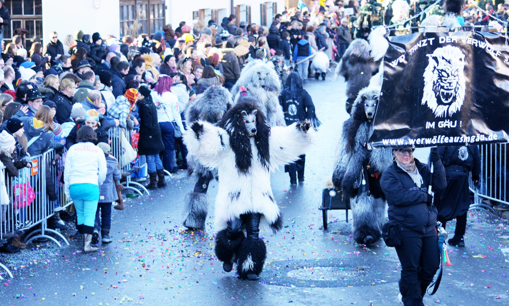 Fasching Fu__ach 15_01_2012 276_jpg-1326666164