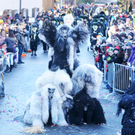 Fasching Fu__ach 15_01_2012 279_jpg-1326666179