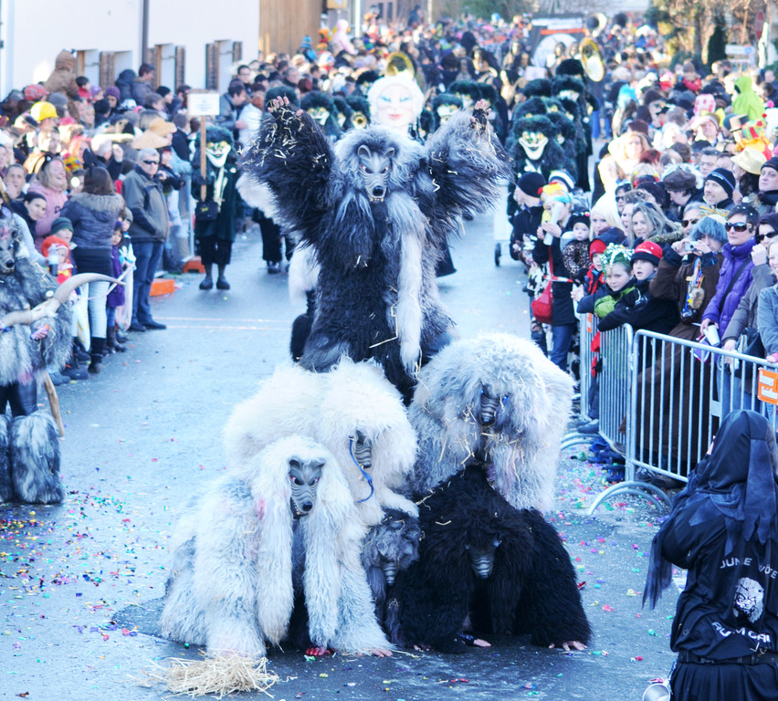 Fasching Fu__ach 15_01_2012 279_jpg-1326666179