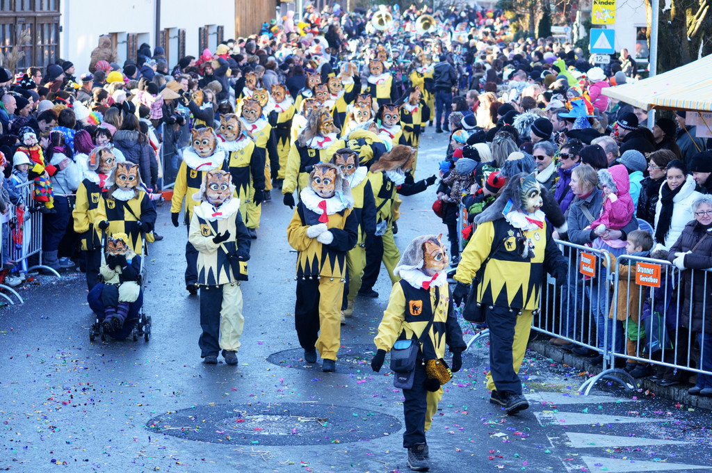 Fasching Fu__ach 15_01_2012 302_jpg-1326666292