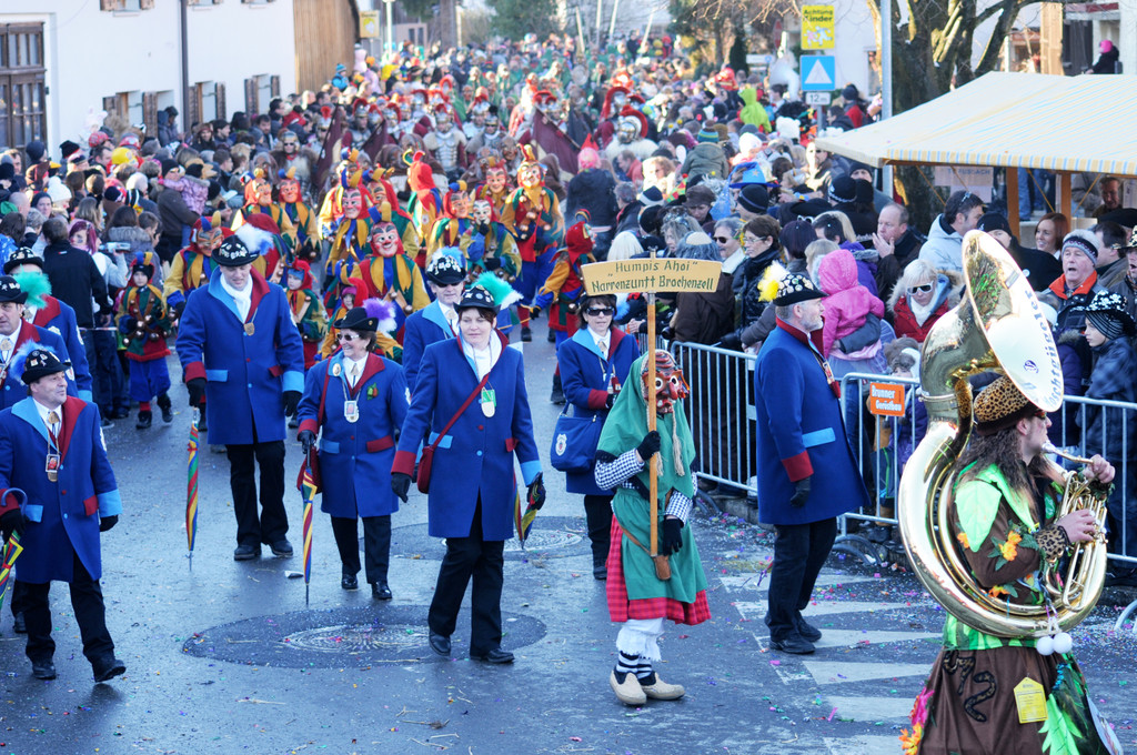 Fasching Fu__ach 15_01_2012 332_jpg-1326666486
