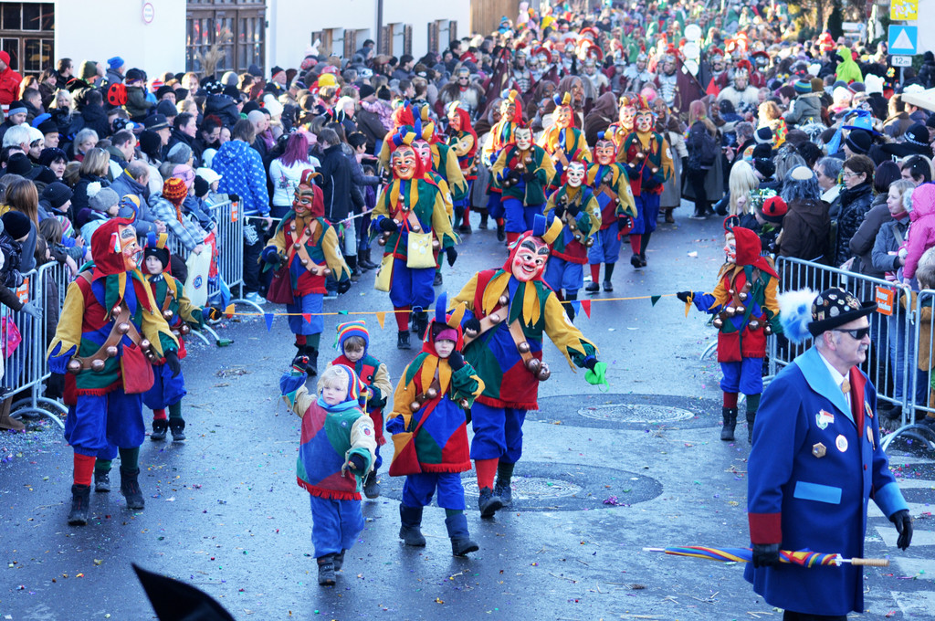 Fasching Fu__ach 15_01_2012 333_jpg-1326666509