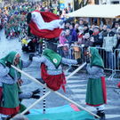 Fasching Fu__ach 15_01_2012 354_jpg-1326666618