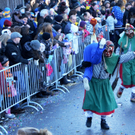 Fasching Fu__ach 15_01_2012 361_jpg-1326666656