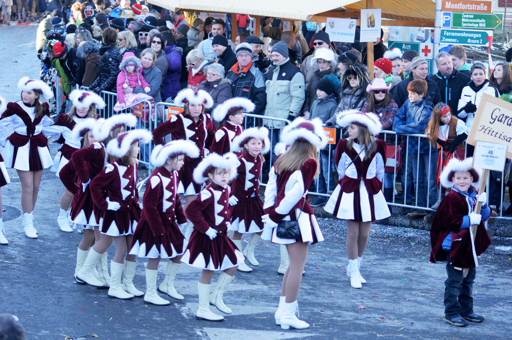 Fasching Fu__ach 15_01_2012 367_jpg-1326666677