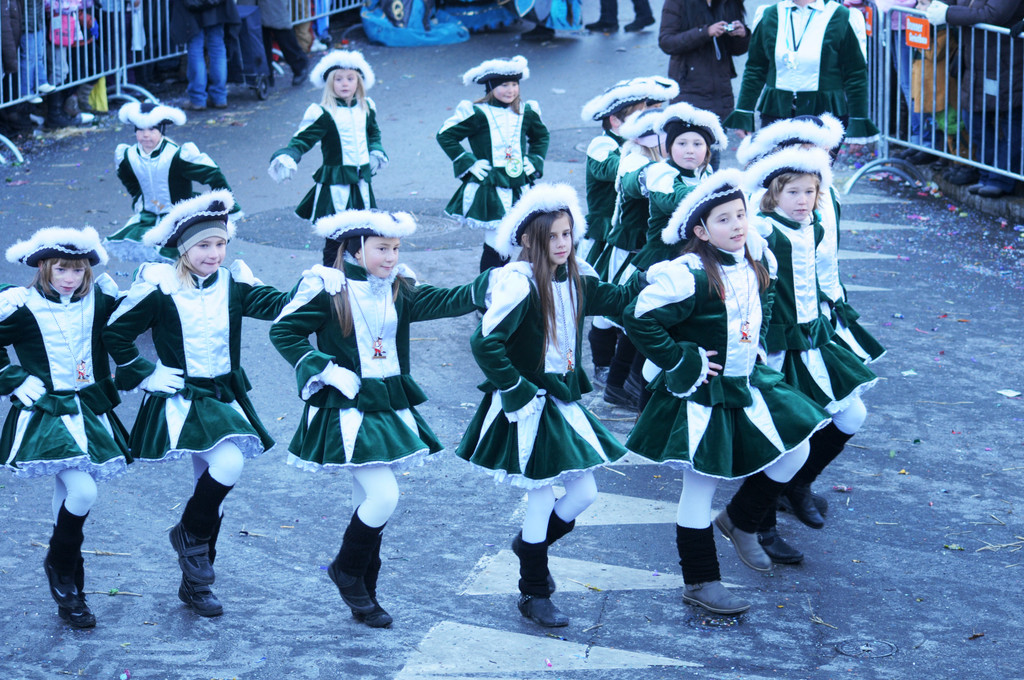 Fasching Fu__ach 15_01_2012 390_jpg-1326666748