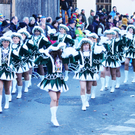 Fasching Fu__ach 15_01_2012 396_jpg-1326666810