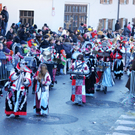 Fasching Fu__ach 15_01_2012 407_jpg-1326666858
