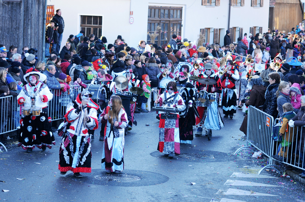 Fasching Fu__ach 15_01_2012 407_jpg-1326666858