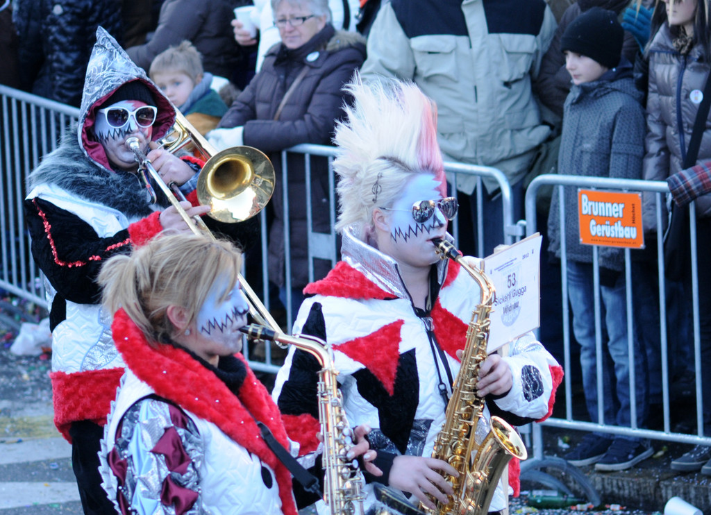 Fasching Fu__ach 15_01_2012 409_jpg-1326666873