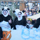 Fasching Fu__ach 15_01_2012 413_jpg-1326666890