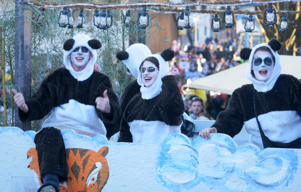 Fasching Fu__ach 15_01_2012 413_jpg-1326666890