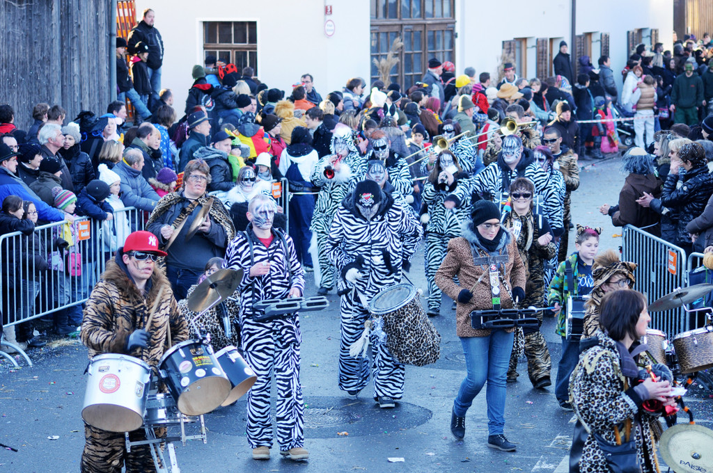 Fasching Fu__ach 15_01_2012 415_jpg-1326666914