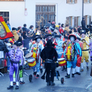 Fasching Fu__ach 15_01_2012 419_jpg-1326666932