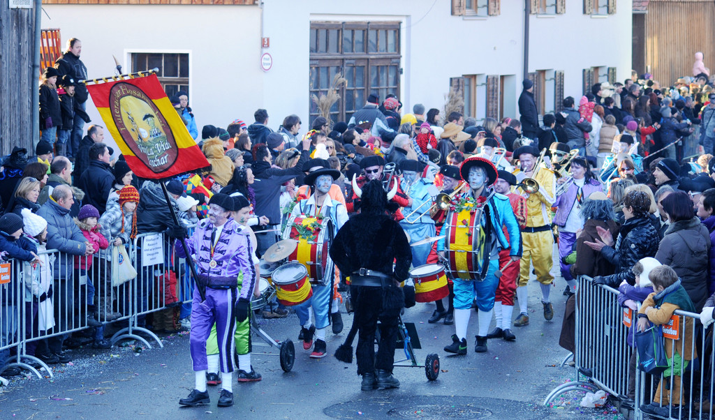 Fasching Fu__ach 15_01_2012 419_jpg-1326666932