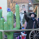 Fasching Fu__ach 15_01_2012 435_jpg-1326666989