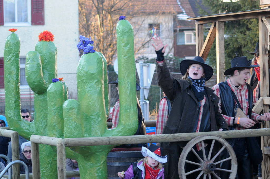 Fasching Fu__ach 15_01_2012 435_jpg-1326666989