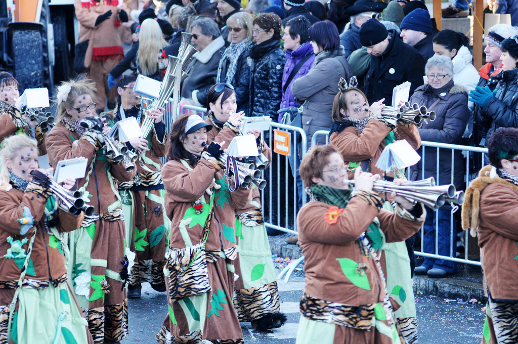 Fasching Fu__ach 15_01_2012 439_jpg-1326667009