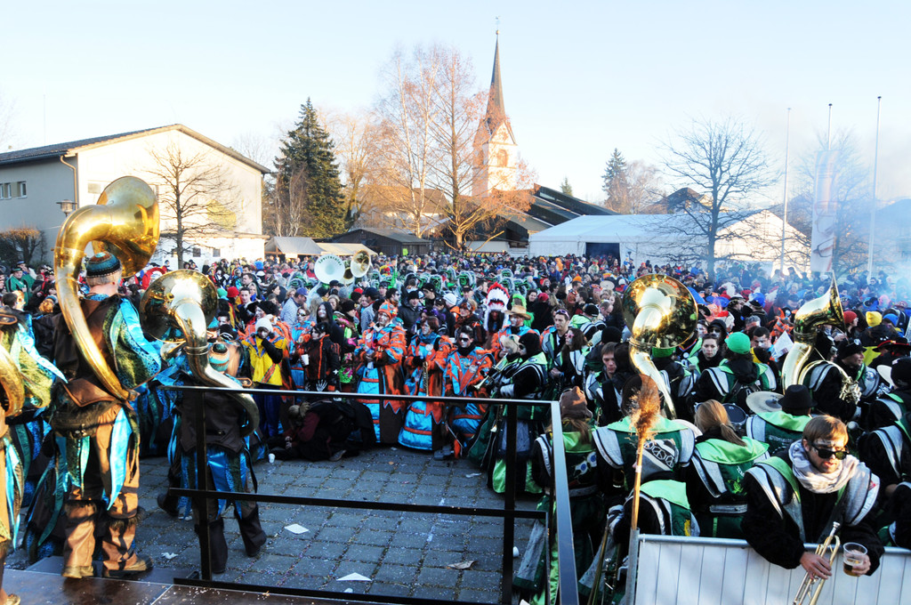 Fasching Fu__ach 15_01_2012 479_jpg-1326667077