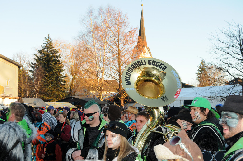 Fasching Fu__ach 15_01_2012 490_jpg-1326667107