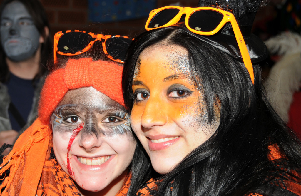 Fasching Fu__ach 15_01_2012 511_jpg-1326667230